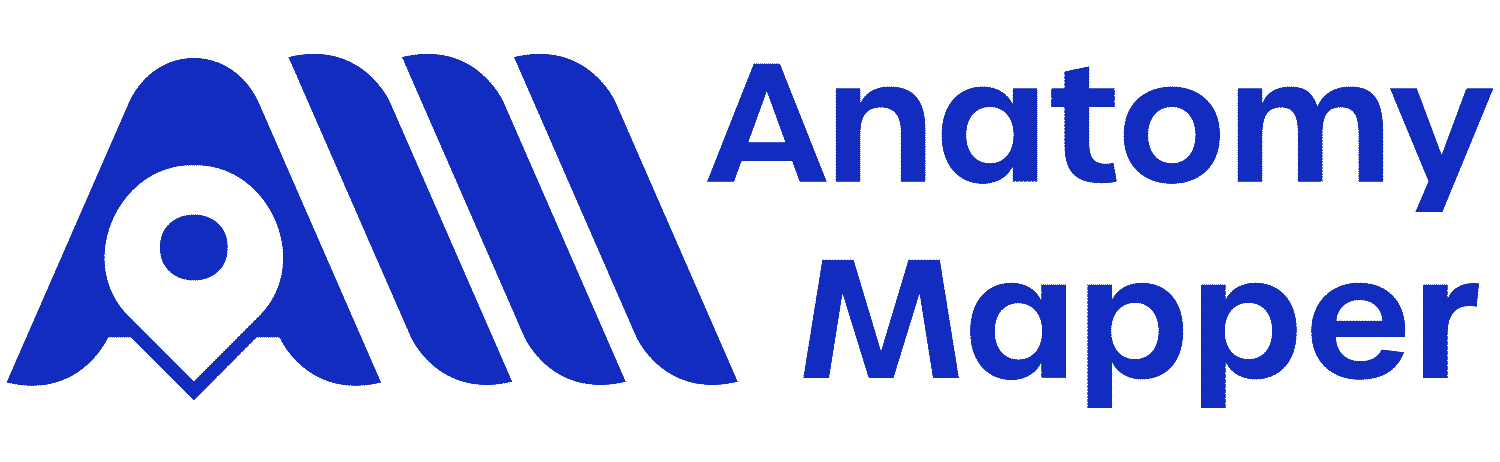 Anatomy Mapper OpCo